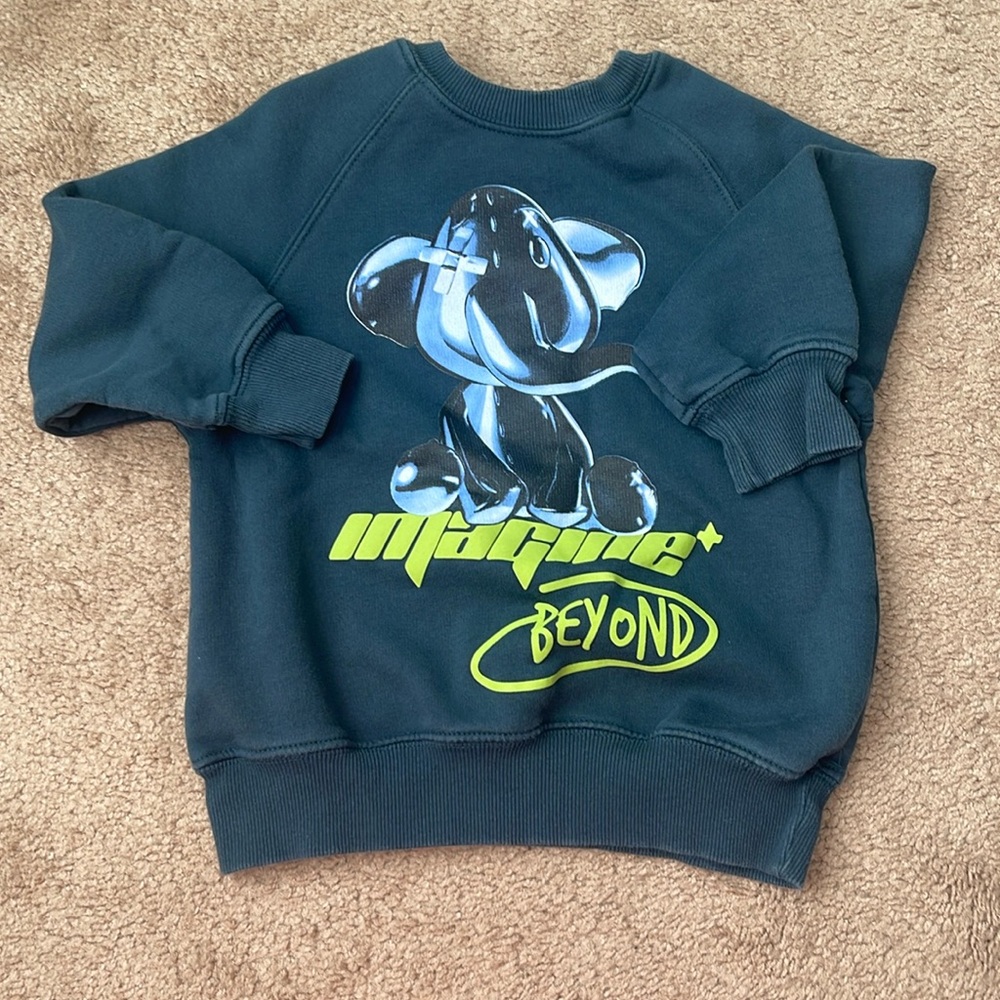 Zara imagine sweatshirt